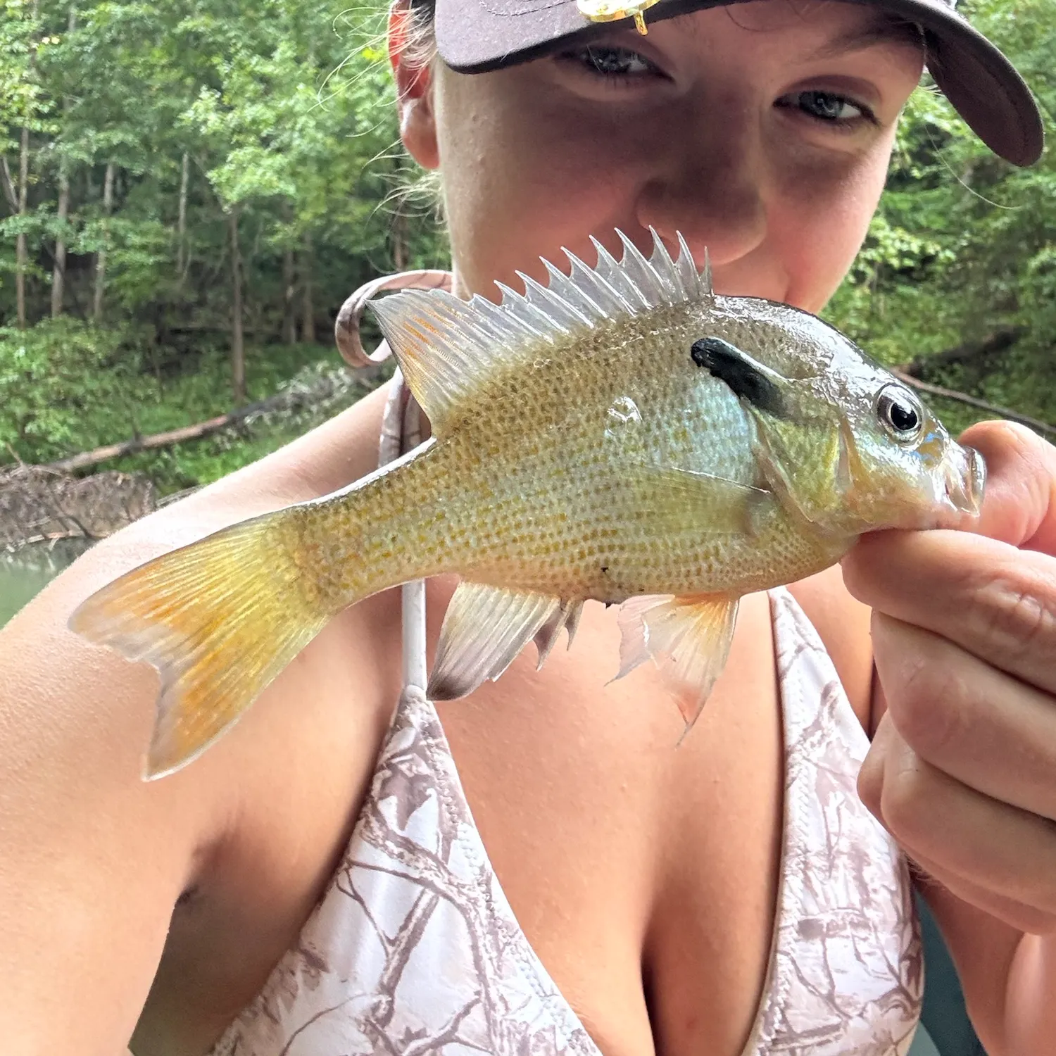 Redbreast sunfish caught on Fishbrain
