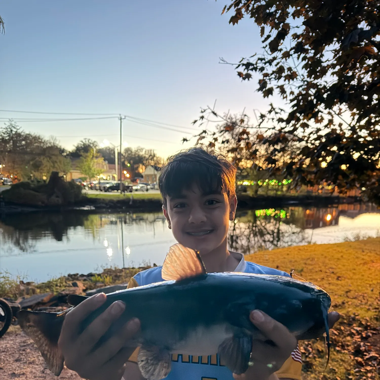 White bullhead caught on Fishbrain