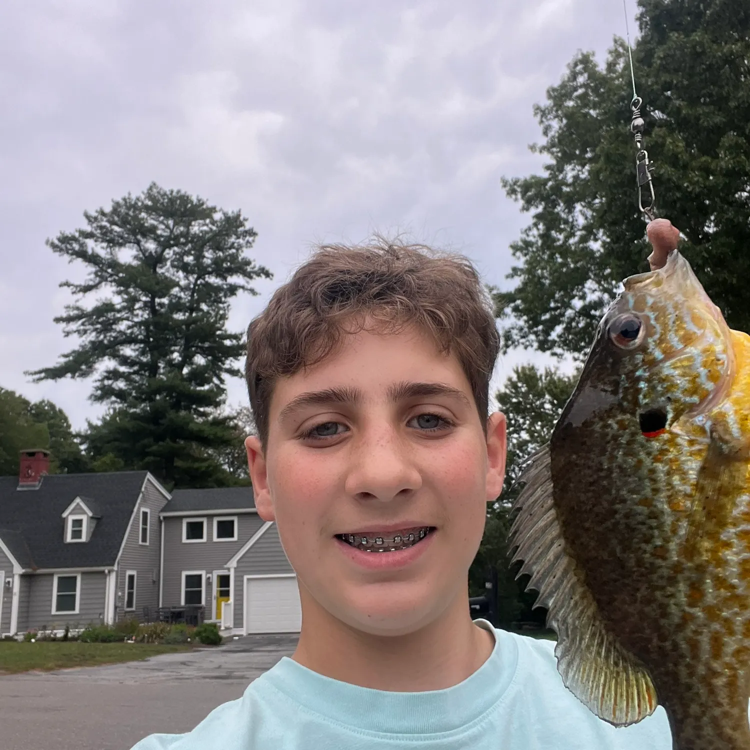 Pumpkinseed caught on Fishbrain