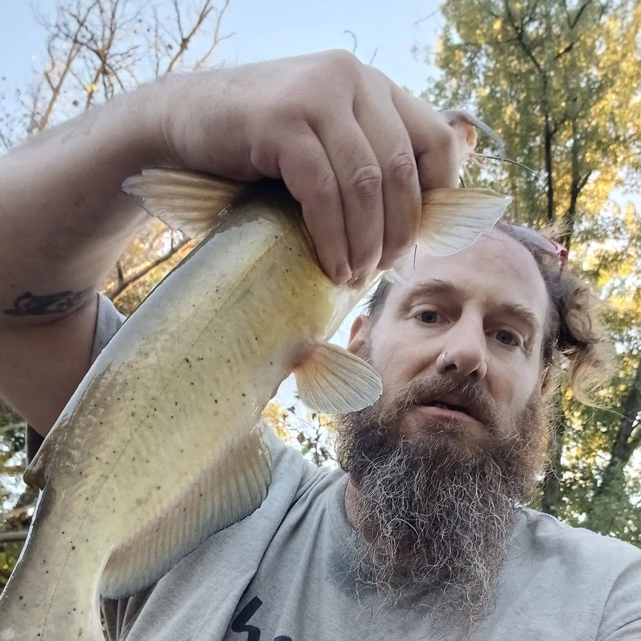 Channel catfish caught on Fishbrain