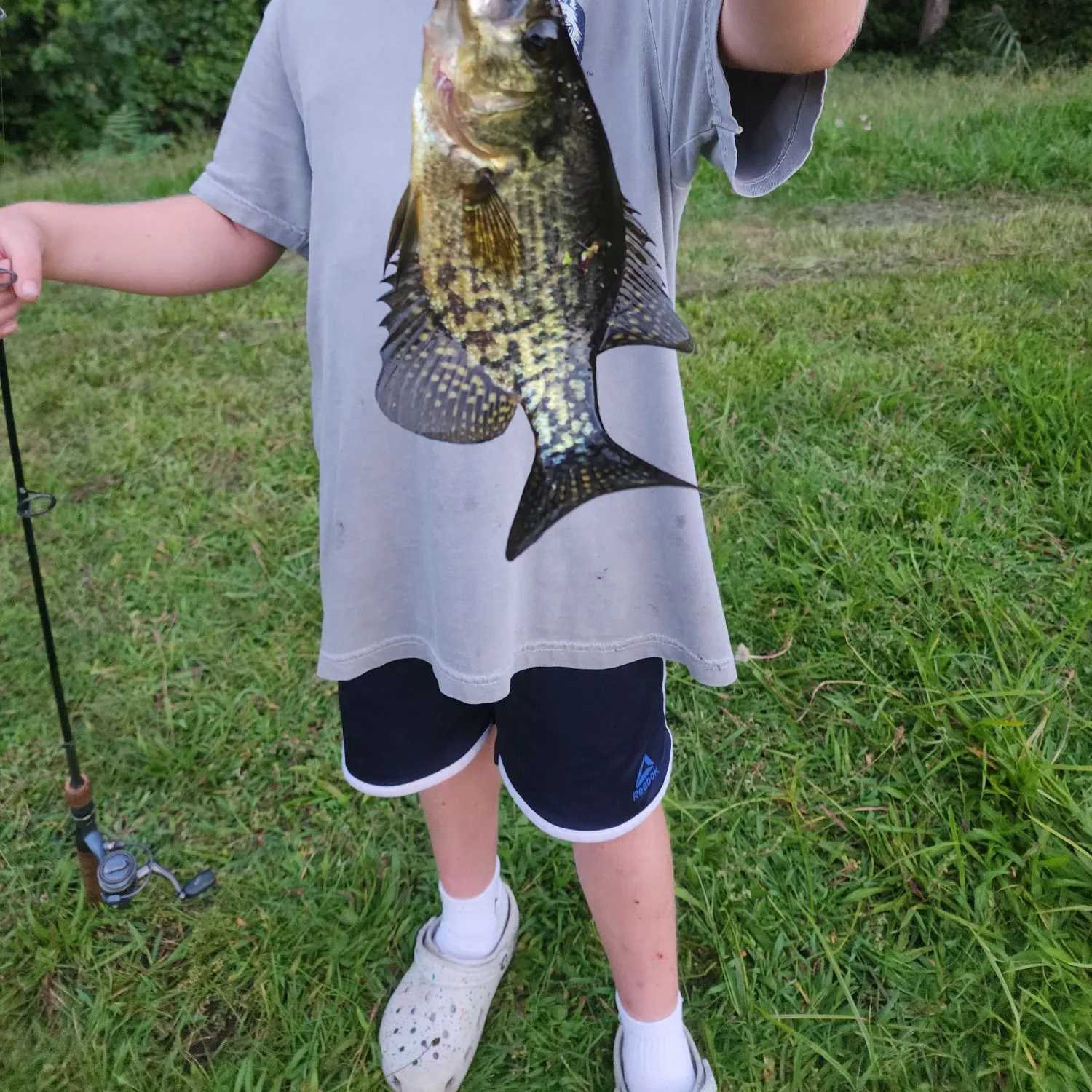 Black crappie caught on Fishbrain