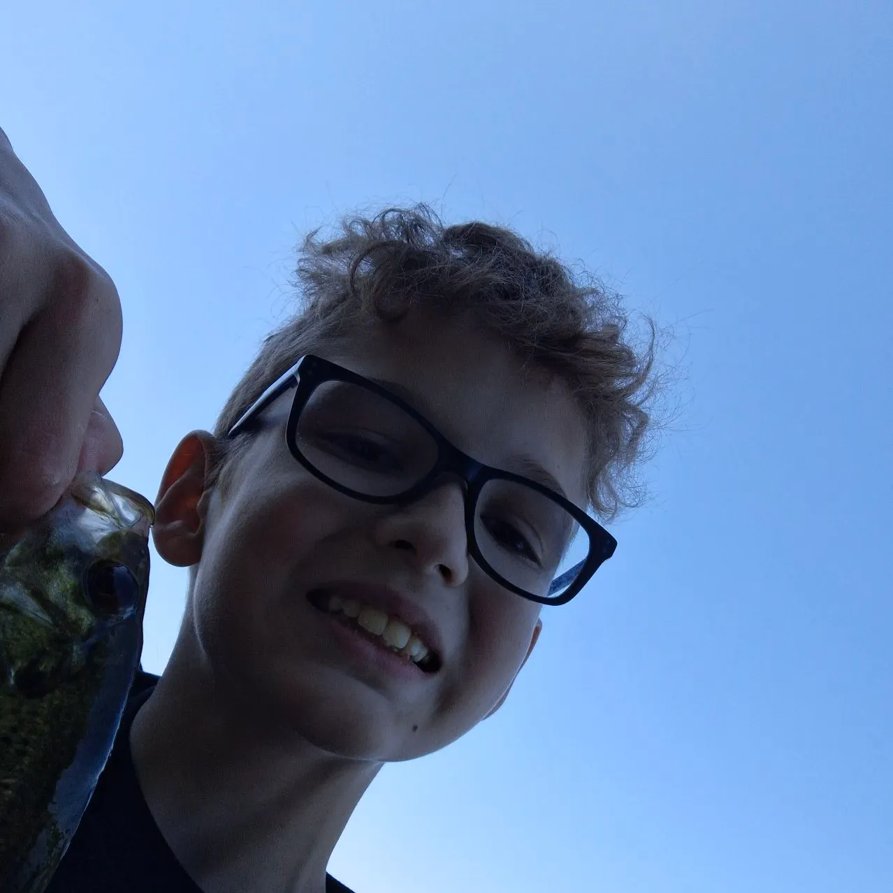 Rock bass caught on Fishbrain