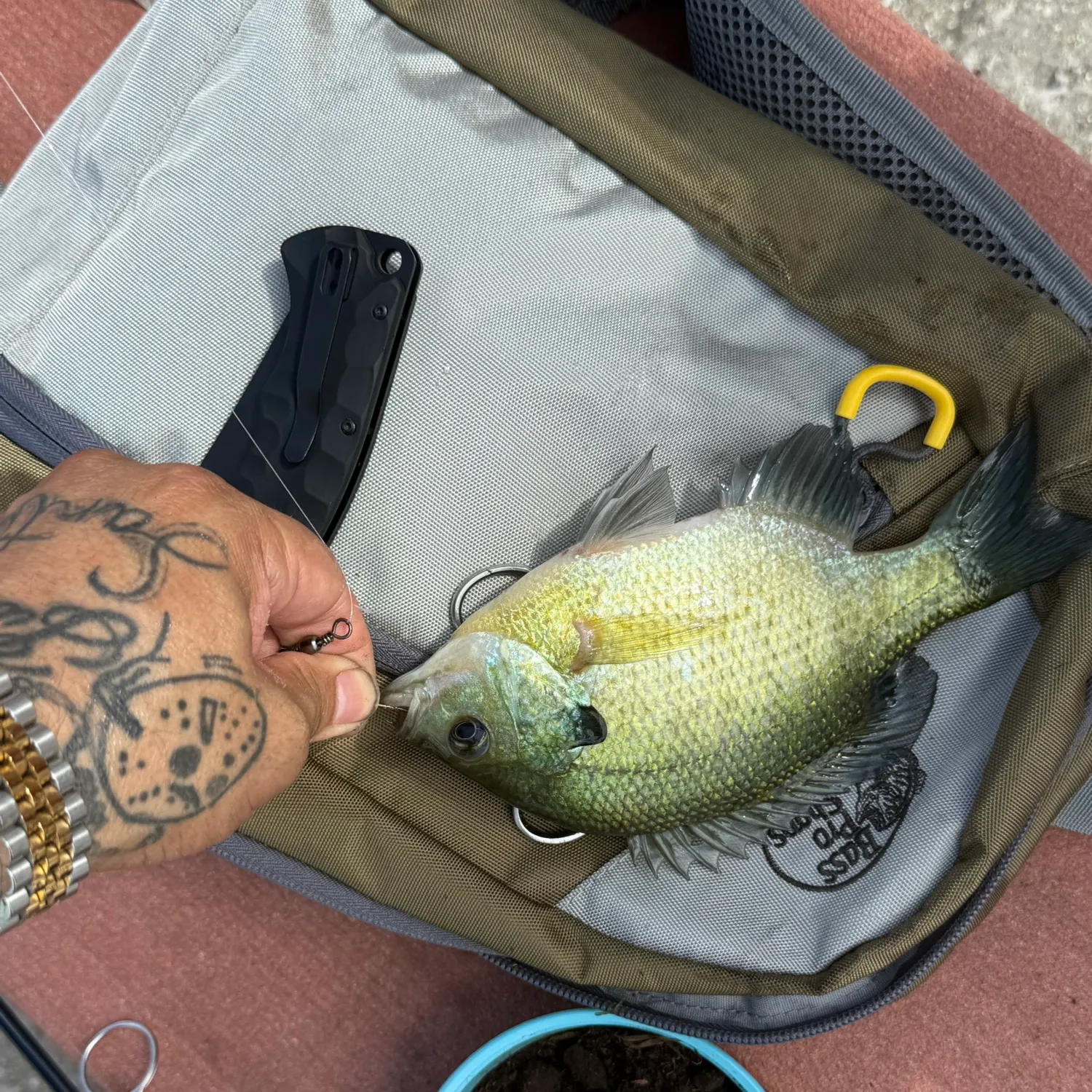 catch