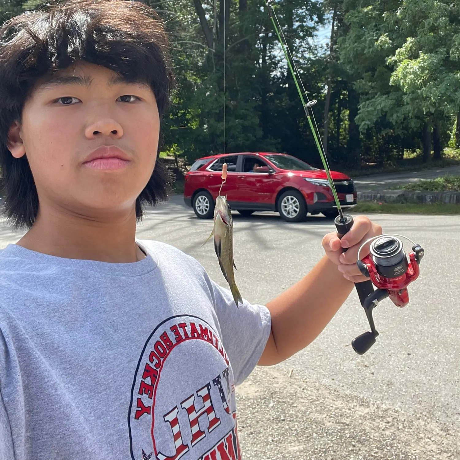 Yellow perch caught on Fishbrain