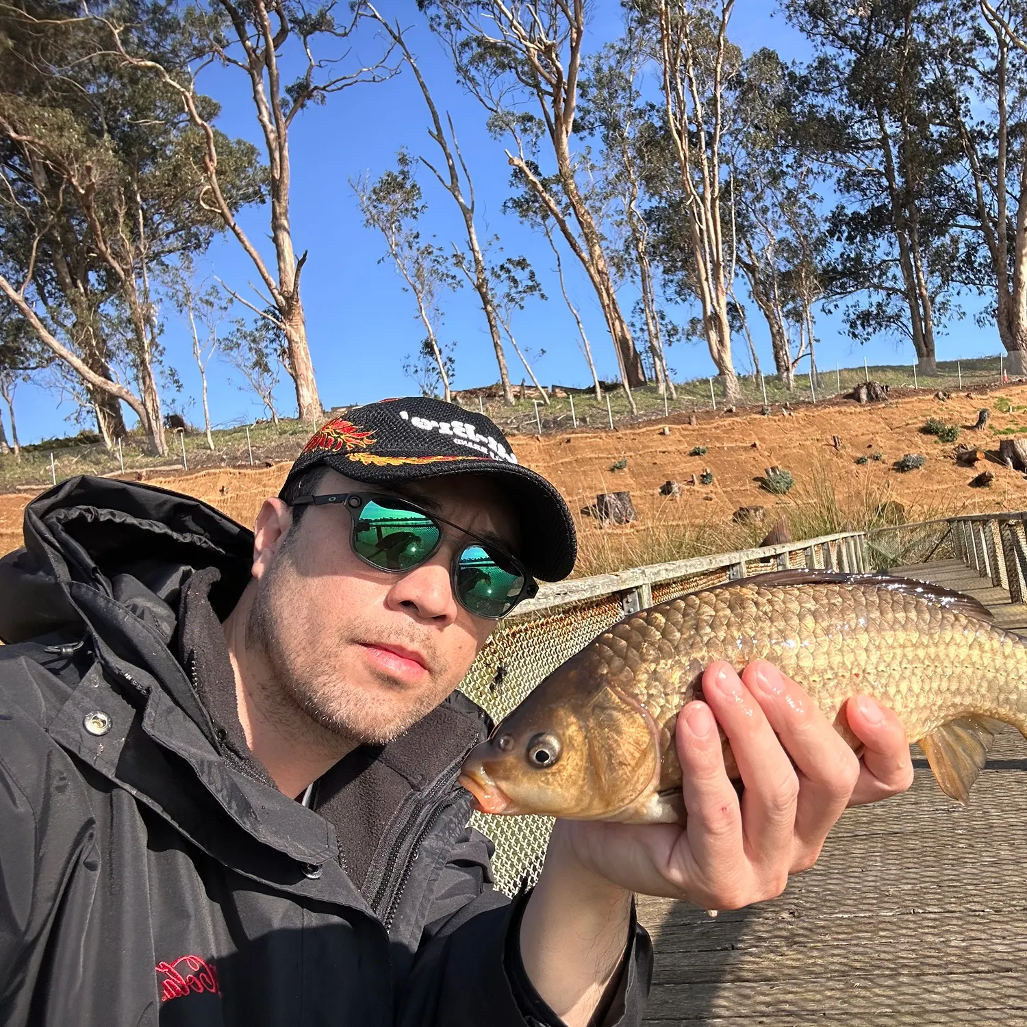The most recent Crucian carp catches on Fishbrain