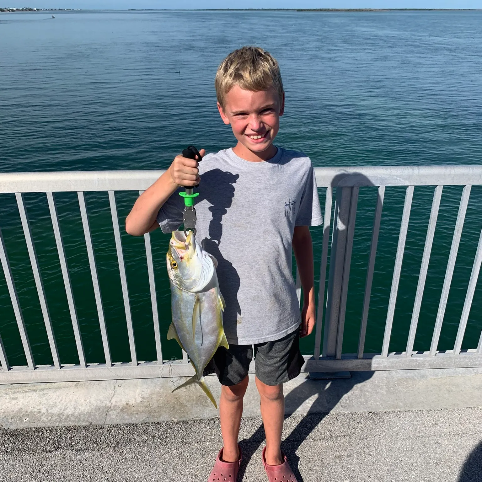 The most recent Yellow jack catches on Fishbrain