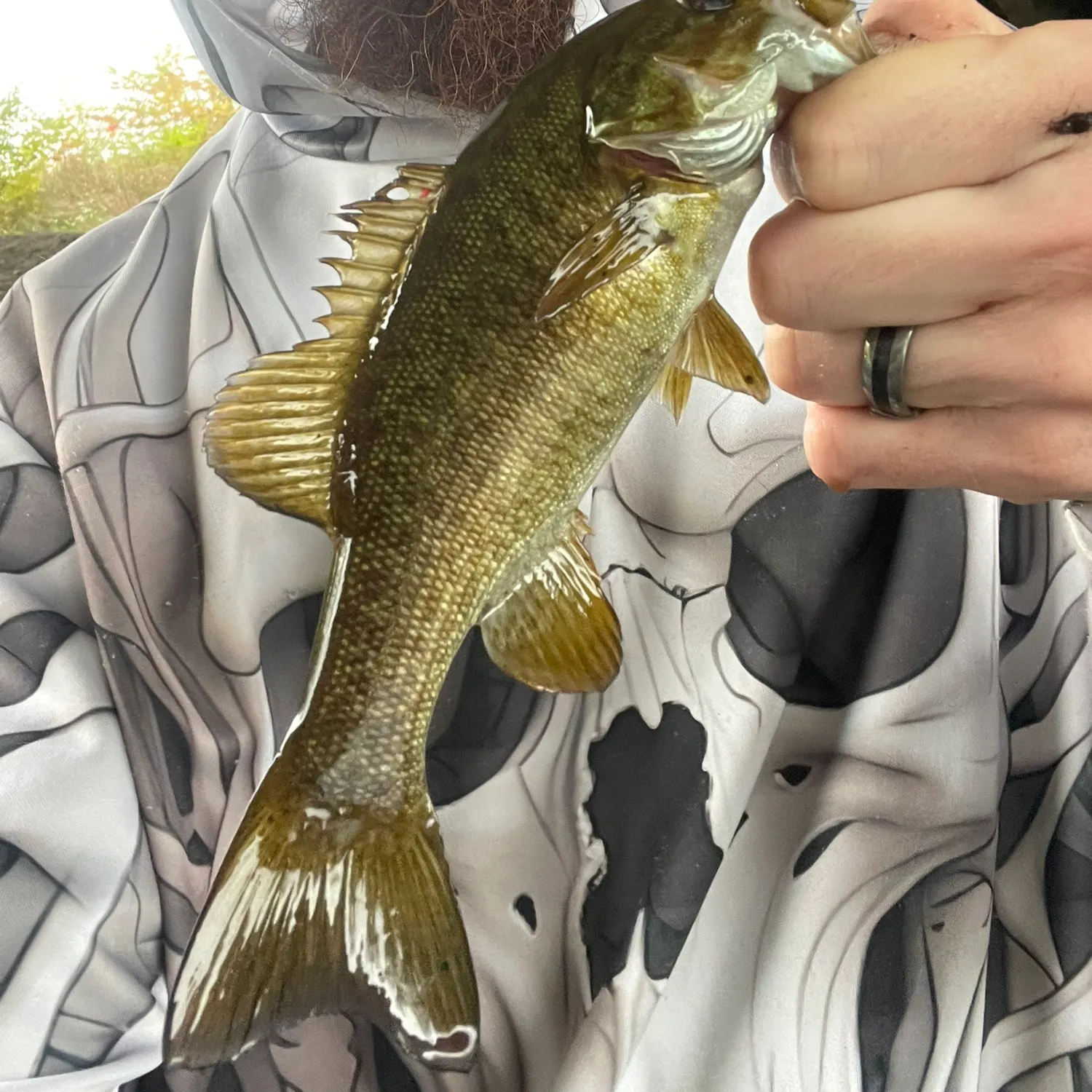 Smallmouth bass caught on Fishbrain