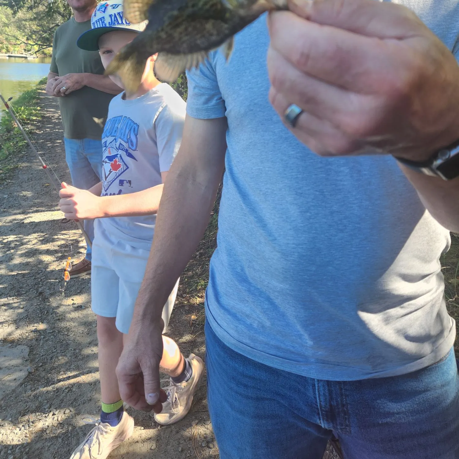 Rock bass caught on Fishbrain