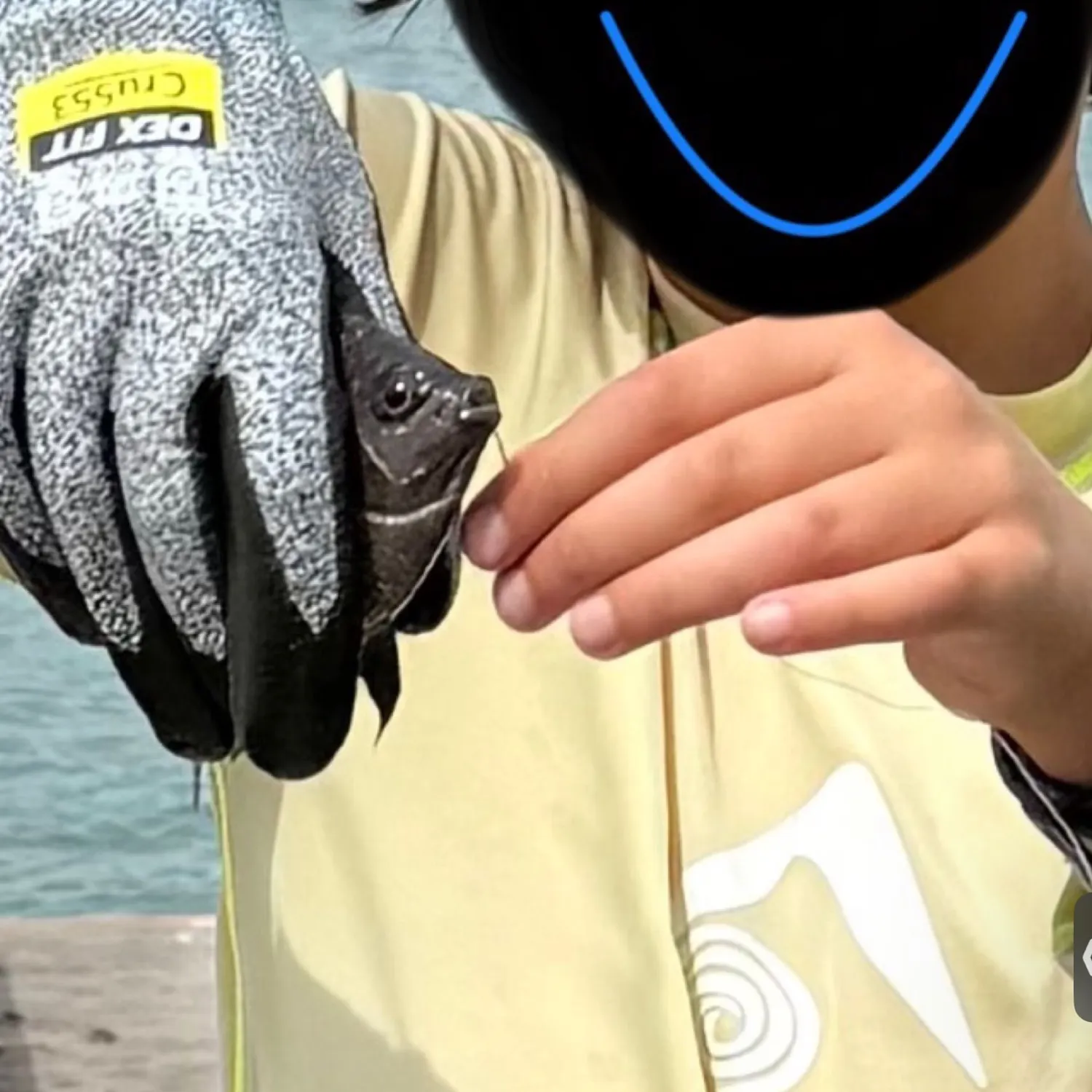 The most popular recent Night Sergeant catch on Fishbrain