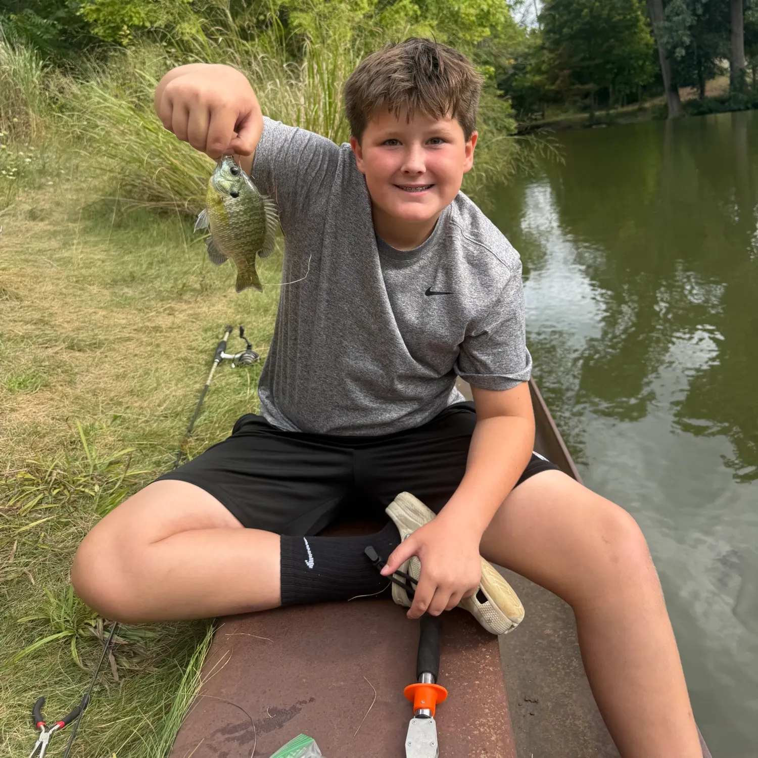 Bluegill caught on Fishbrain