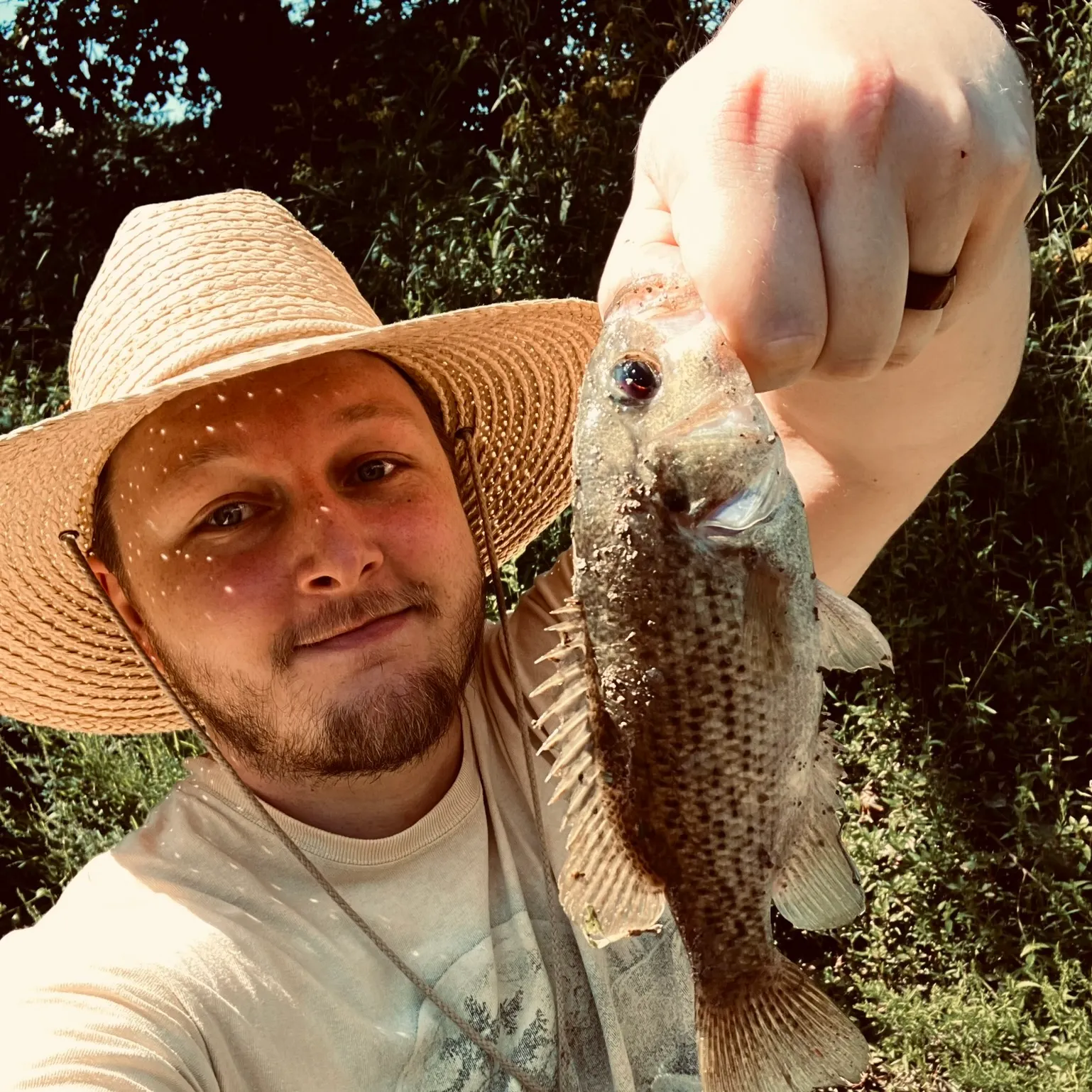 The most recent Shadow bass catches on Fishbrain