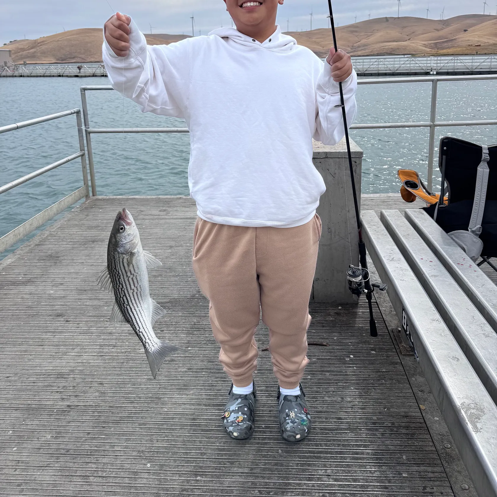 Striped bass caught on Fishbrain