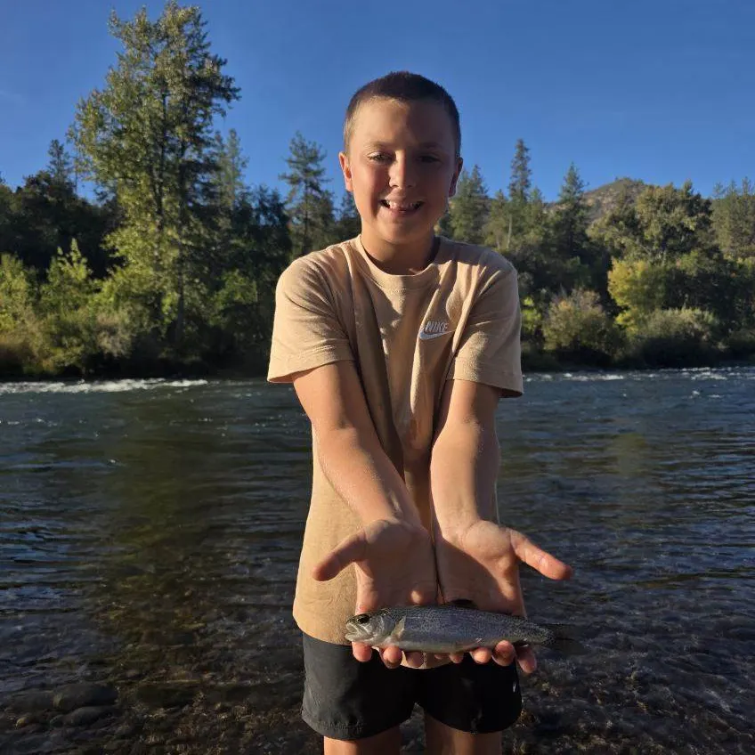 Coastal cutthroat trout caught on Fishbrain