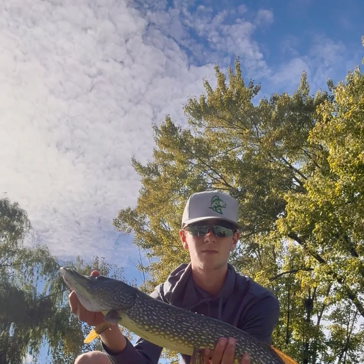 Northern pike caught on Fishbrain