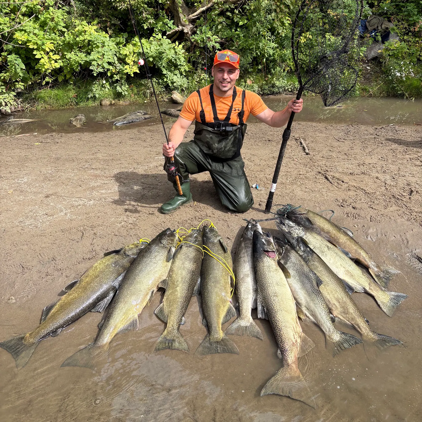 The most recent Atlantic salmon catches on Fishbrain