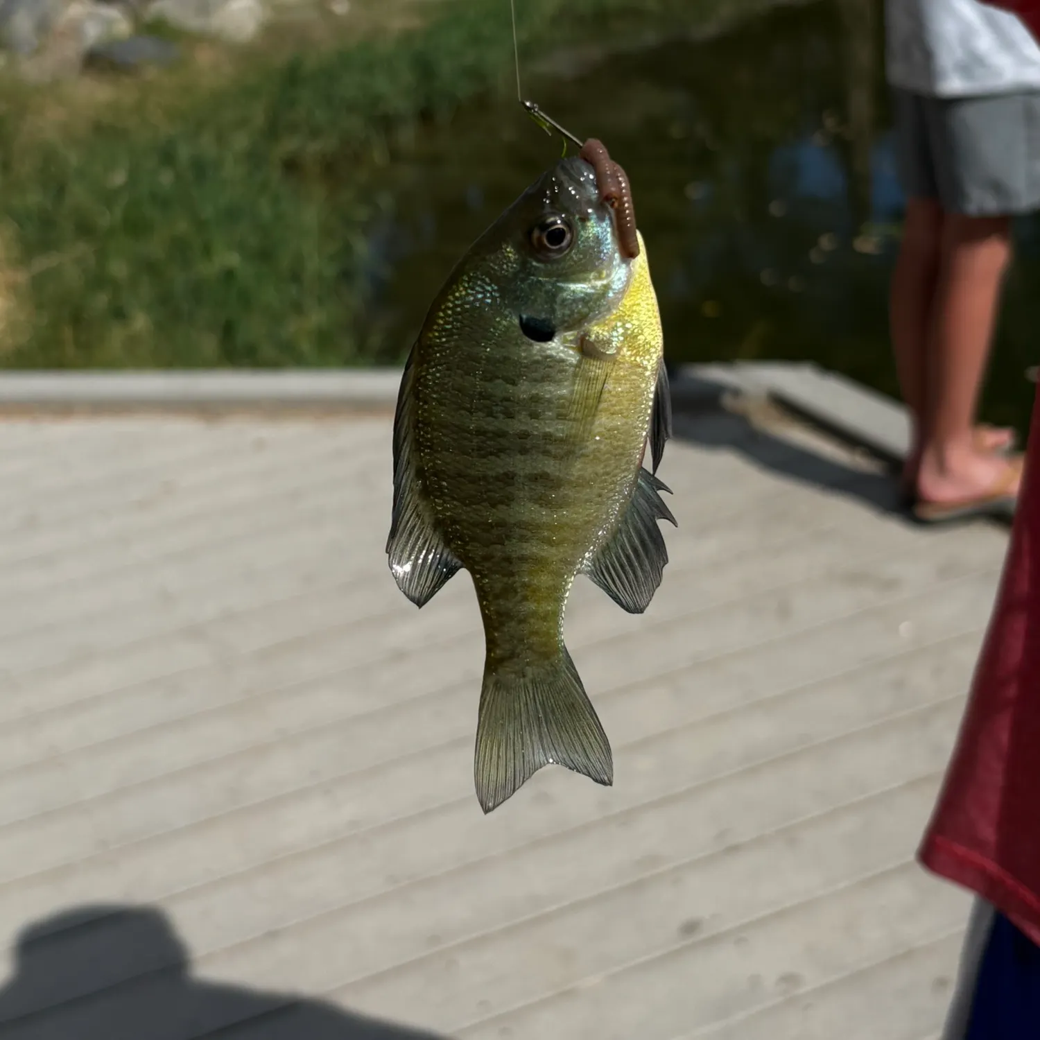 catch