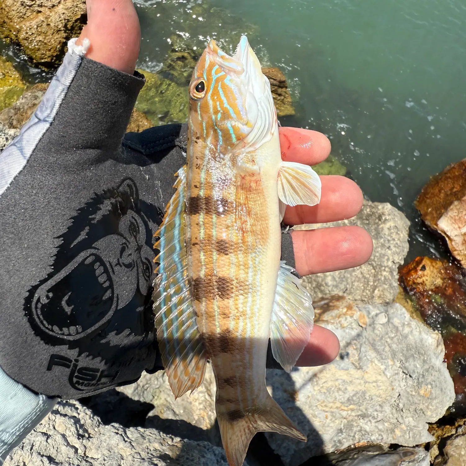 most liked catch image