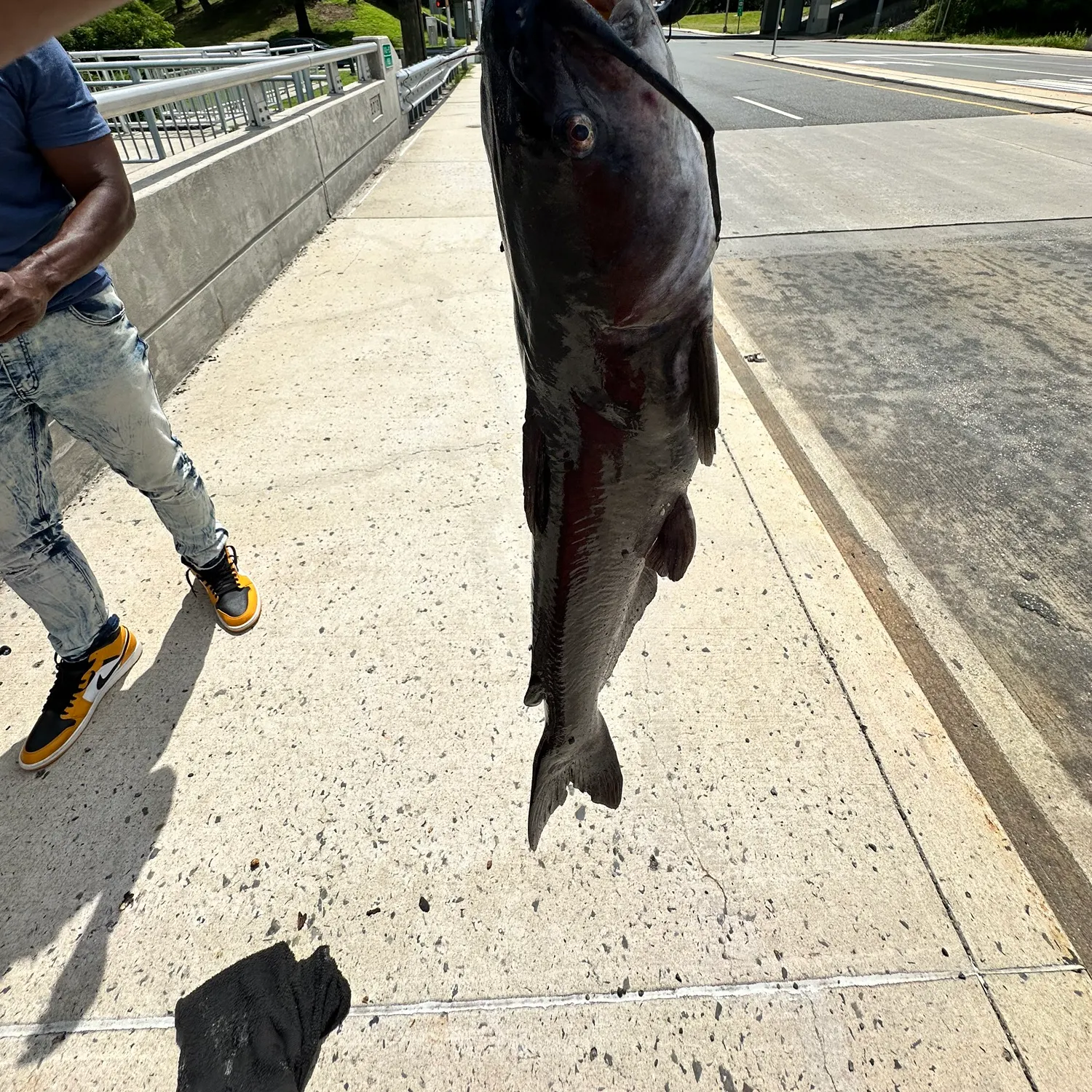 catch
