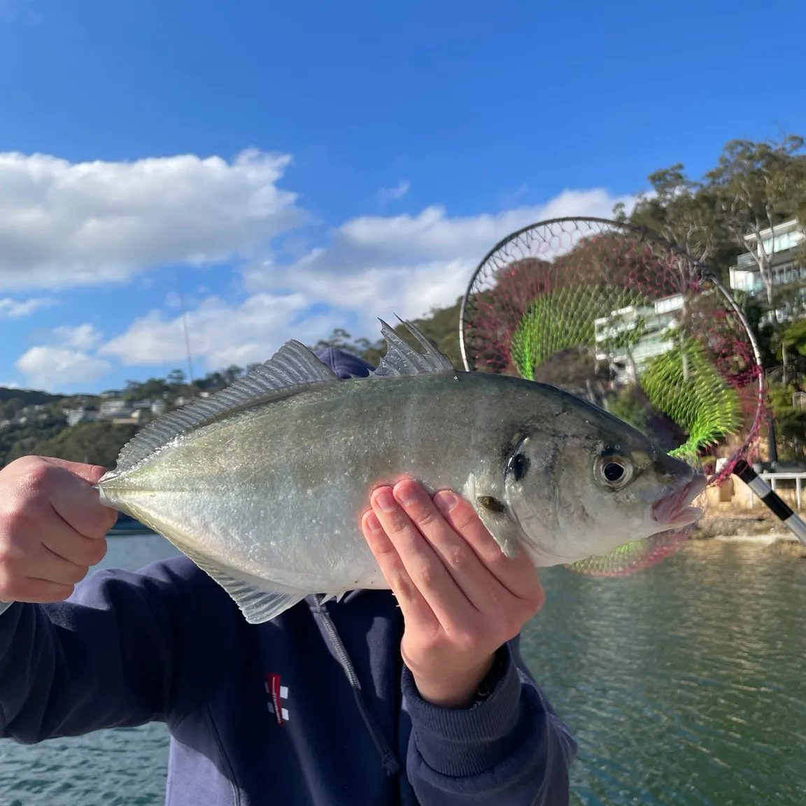 White trevally caught on Fishbrain