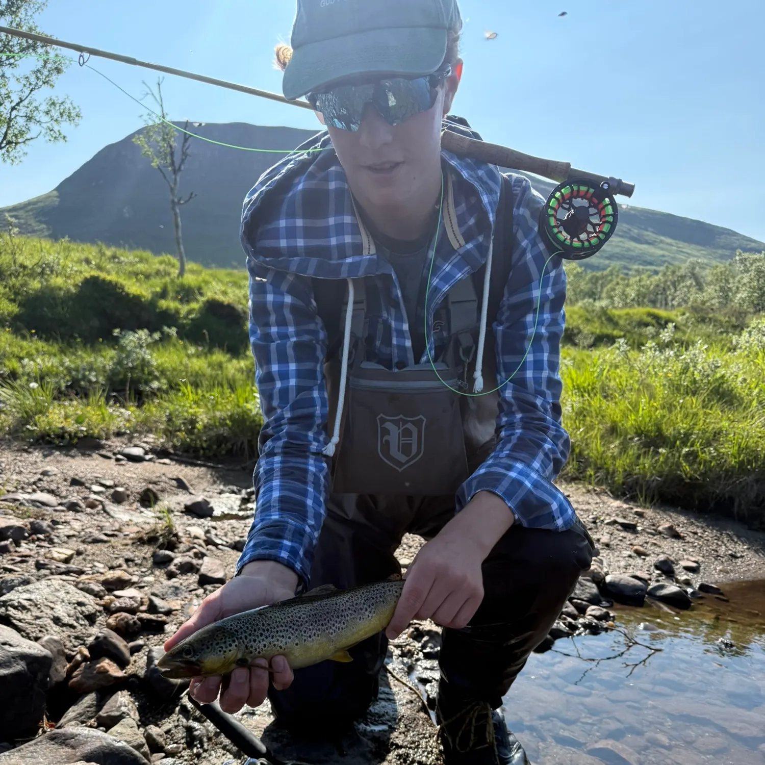 Brown trout caught on Fishbrain