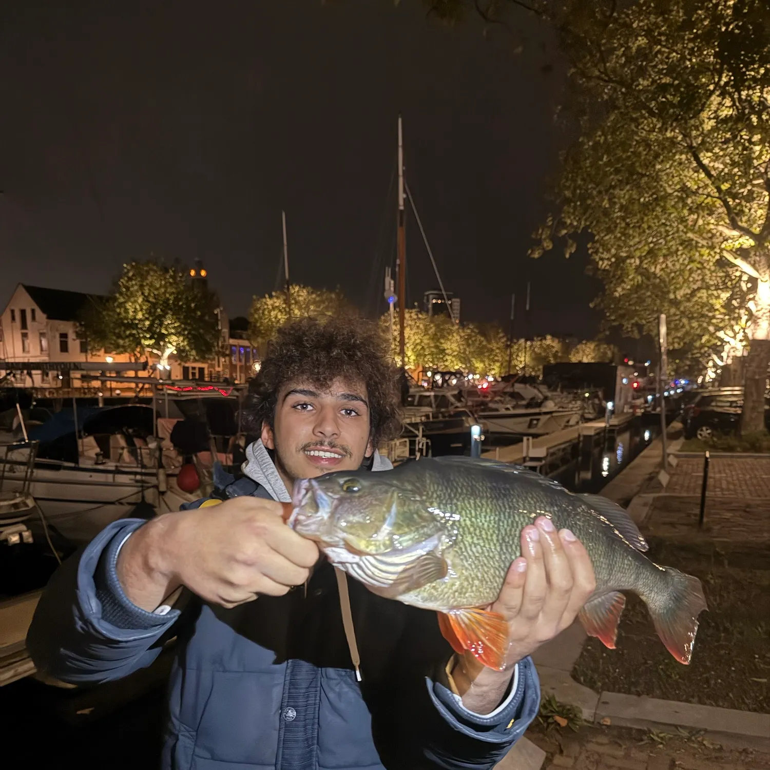European perch caught on Fishbrain