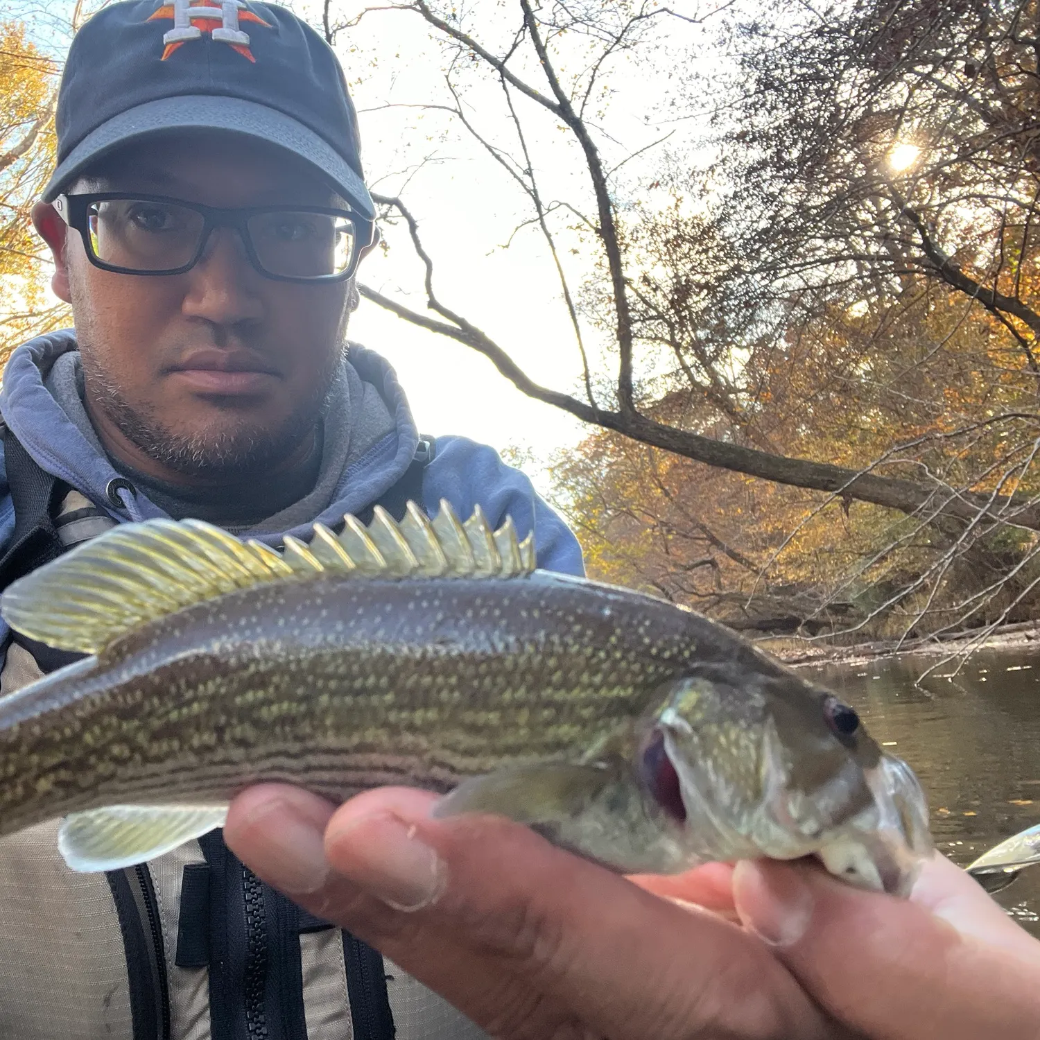 The most recent Tallapoosa bass catches on Fishbrain