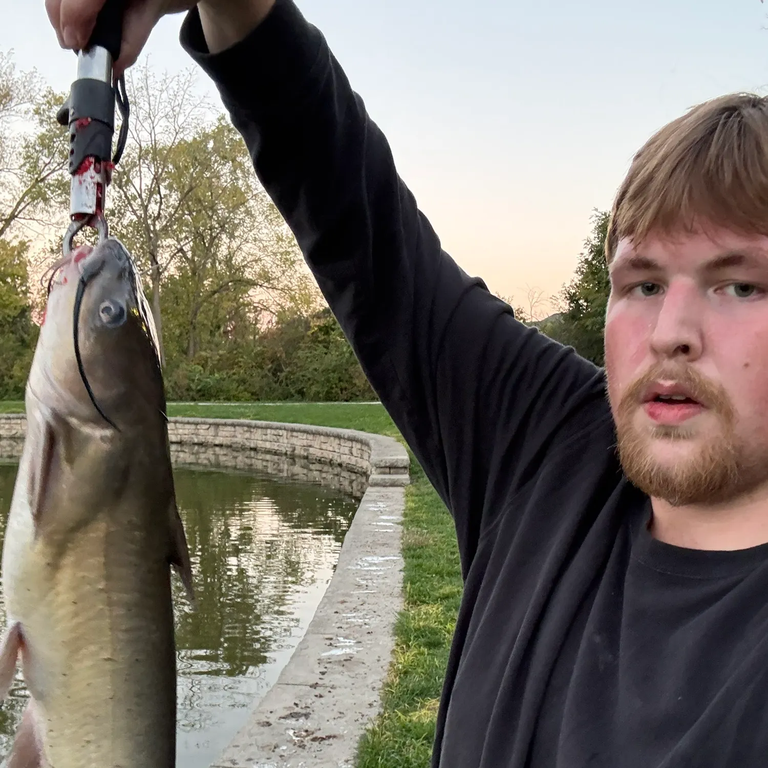 Channel catfish caught on Fishbrain
