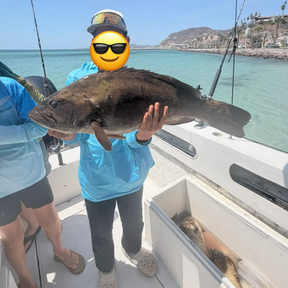 The most recent Roving coralgrouper catches on Fishbrain