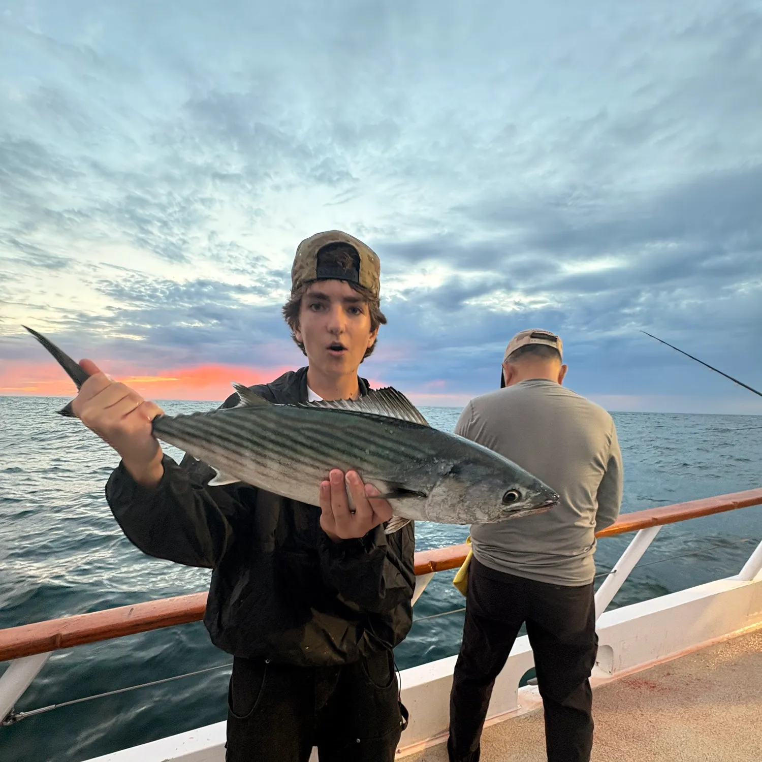 Pacific bonito caught on Fishbrain