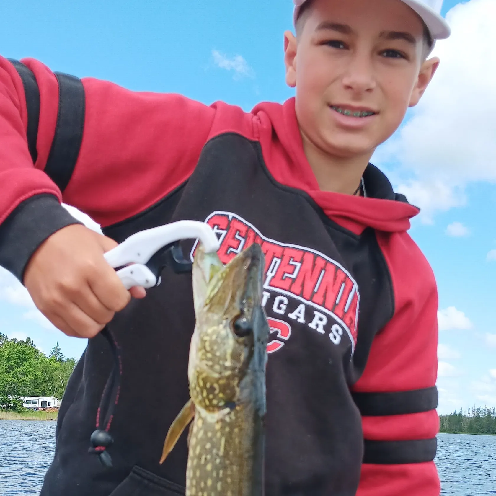 Northern pike caught on Fishbrain