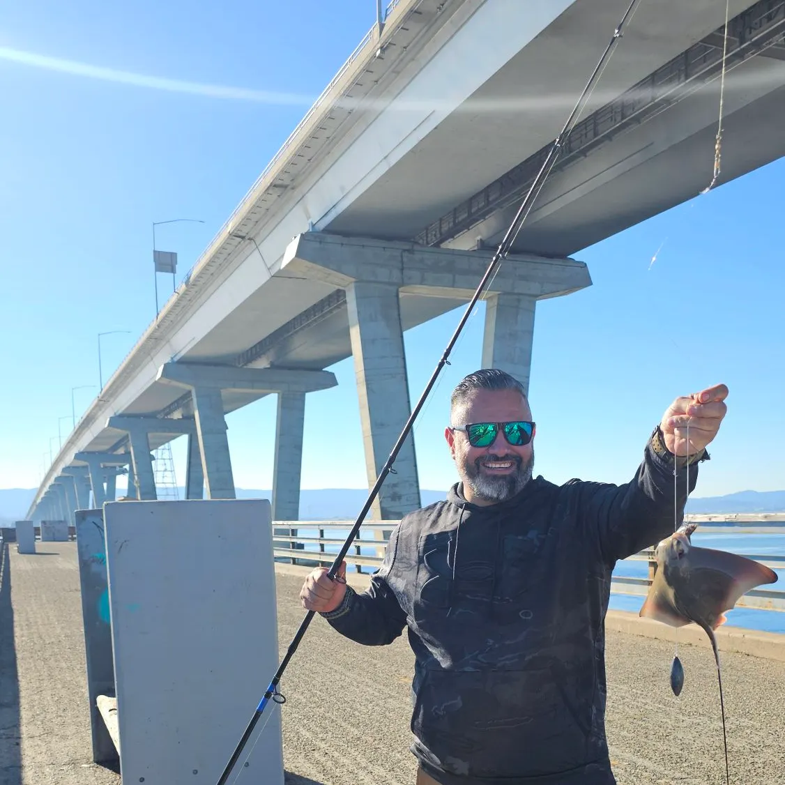 The most recent Common eagle ray catches on Fishbrain