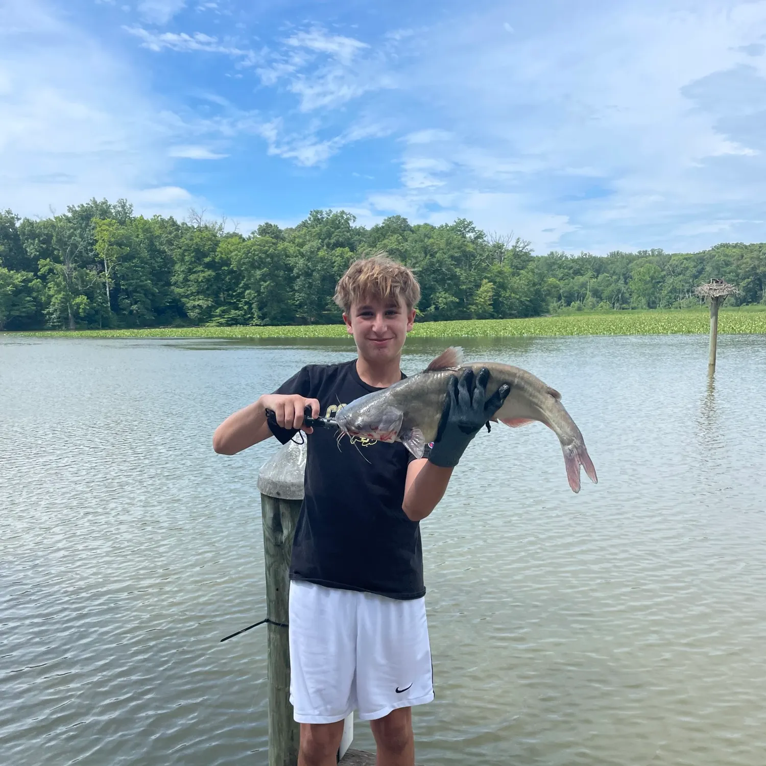 catch