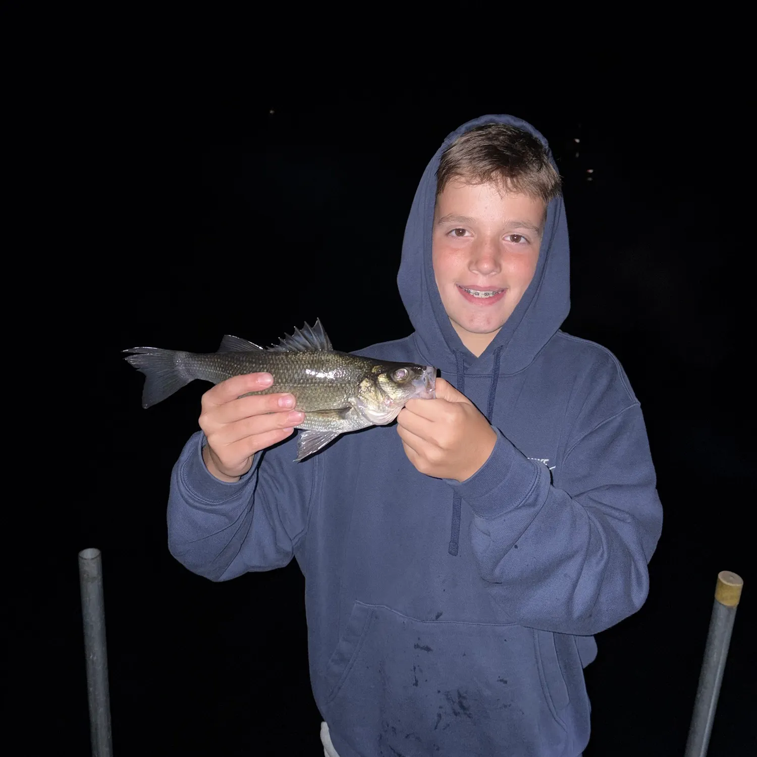 White perch caught on Fishbrain