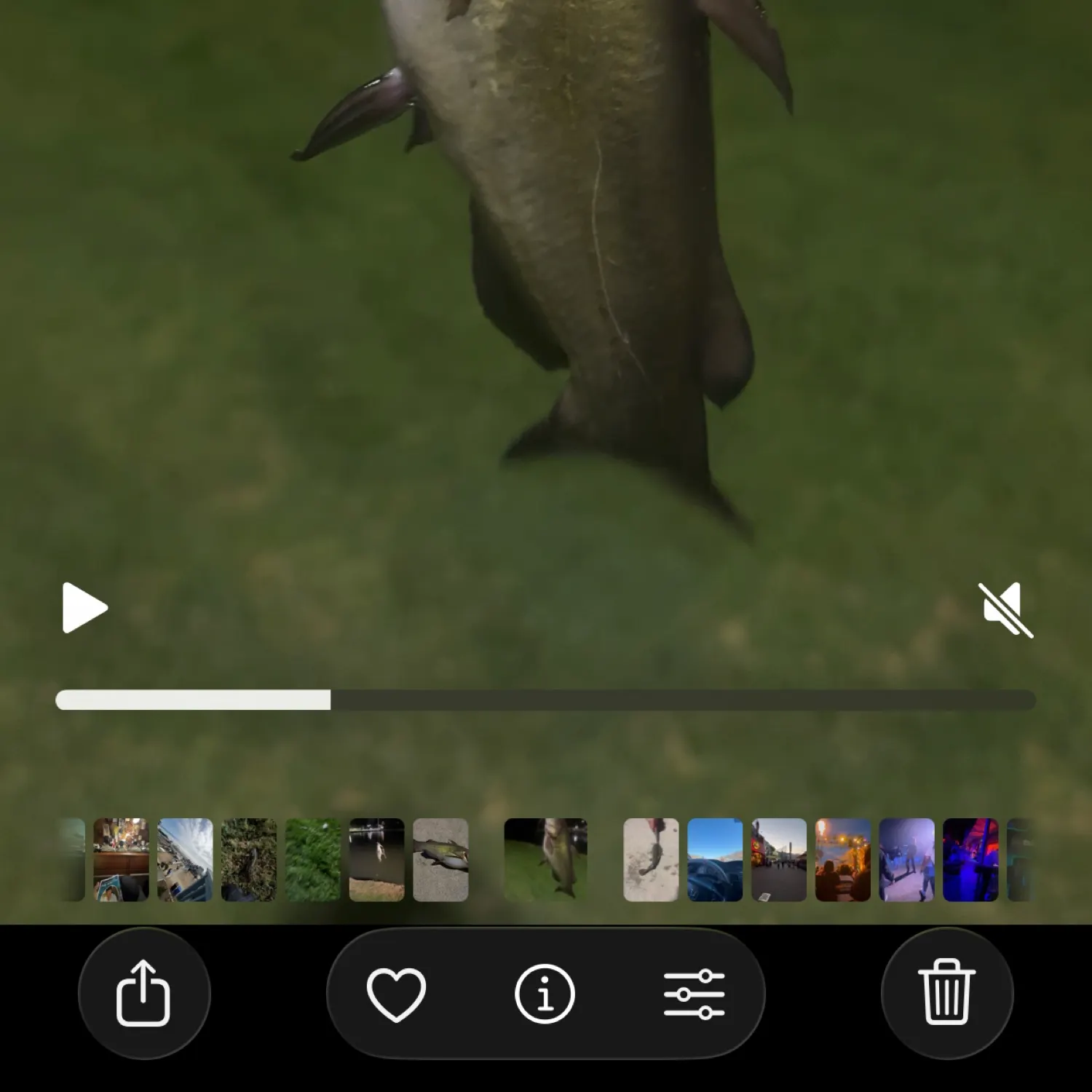 recently logged catches