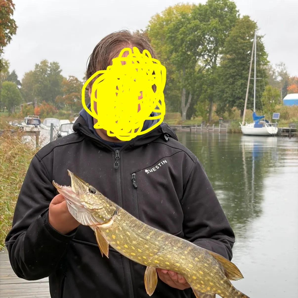 Northern pike caught on Fishbrain