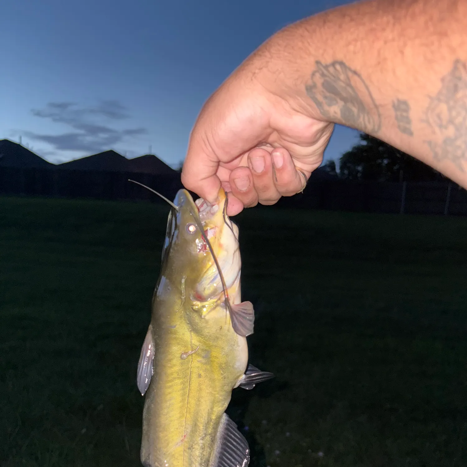 catch