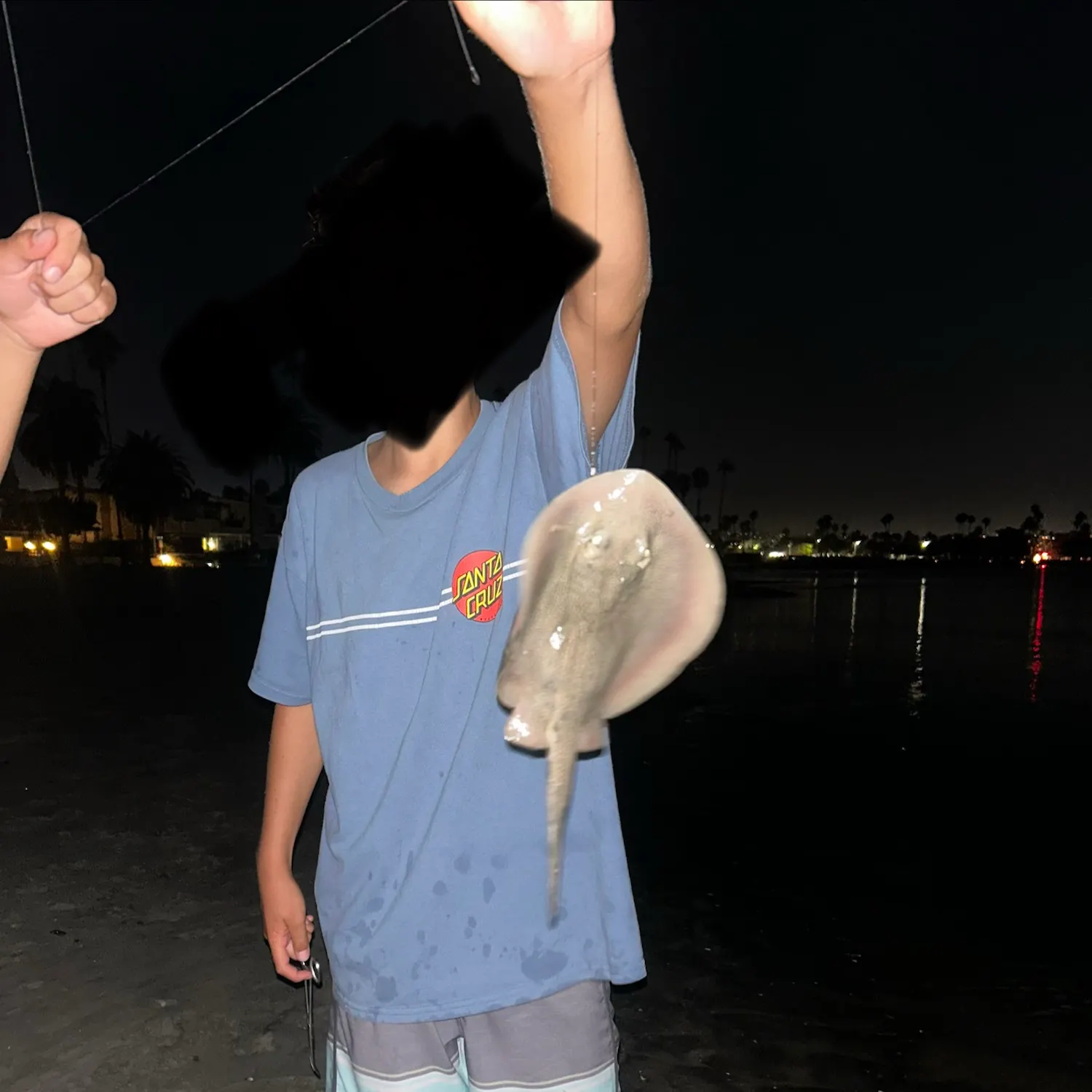 Haller's round ray caught on Fishbrain
