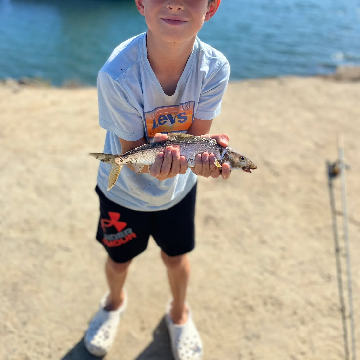 The most recent Cortez bonefish catches on Fishbrain