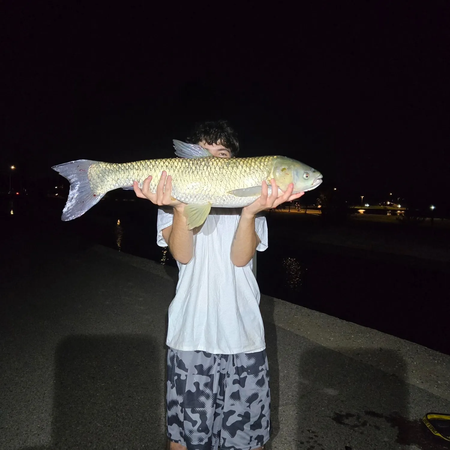 Grass carp caught on Fishbrain