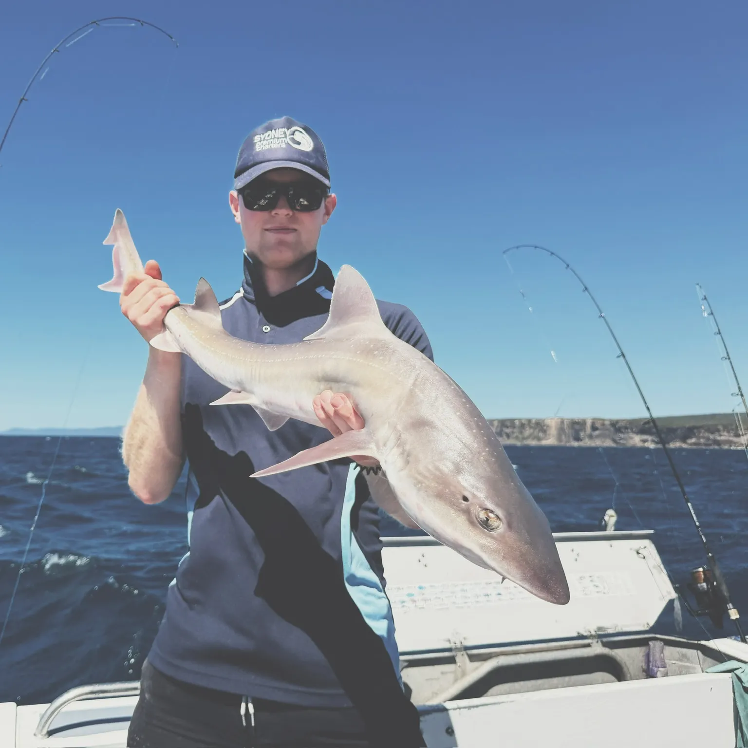 The most recent Gummy shark catches on Fishbrain