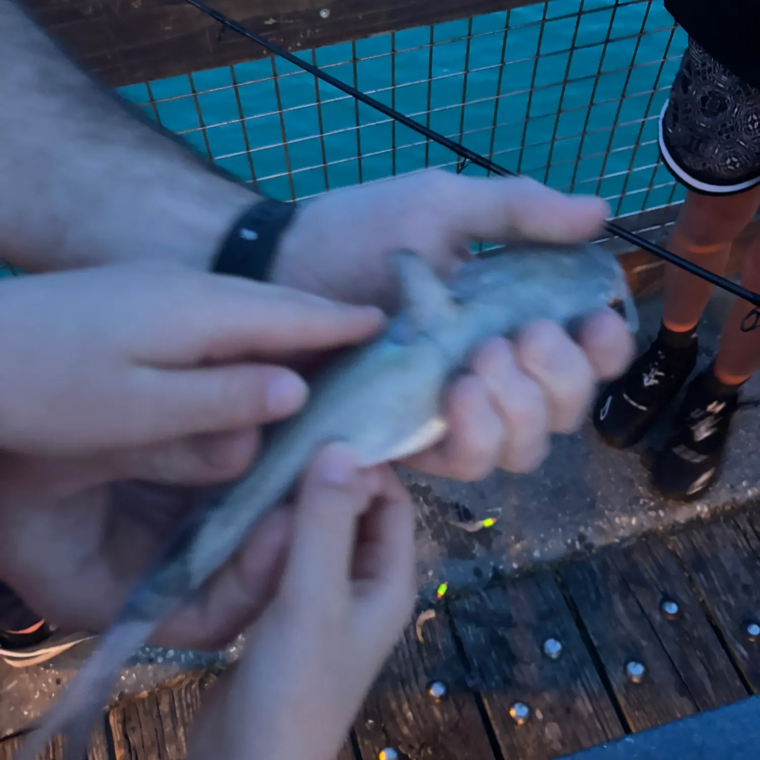 catch