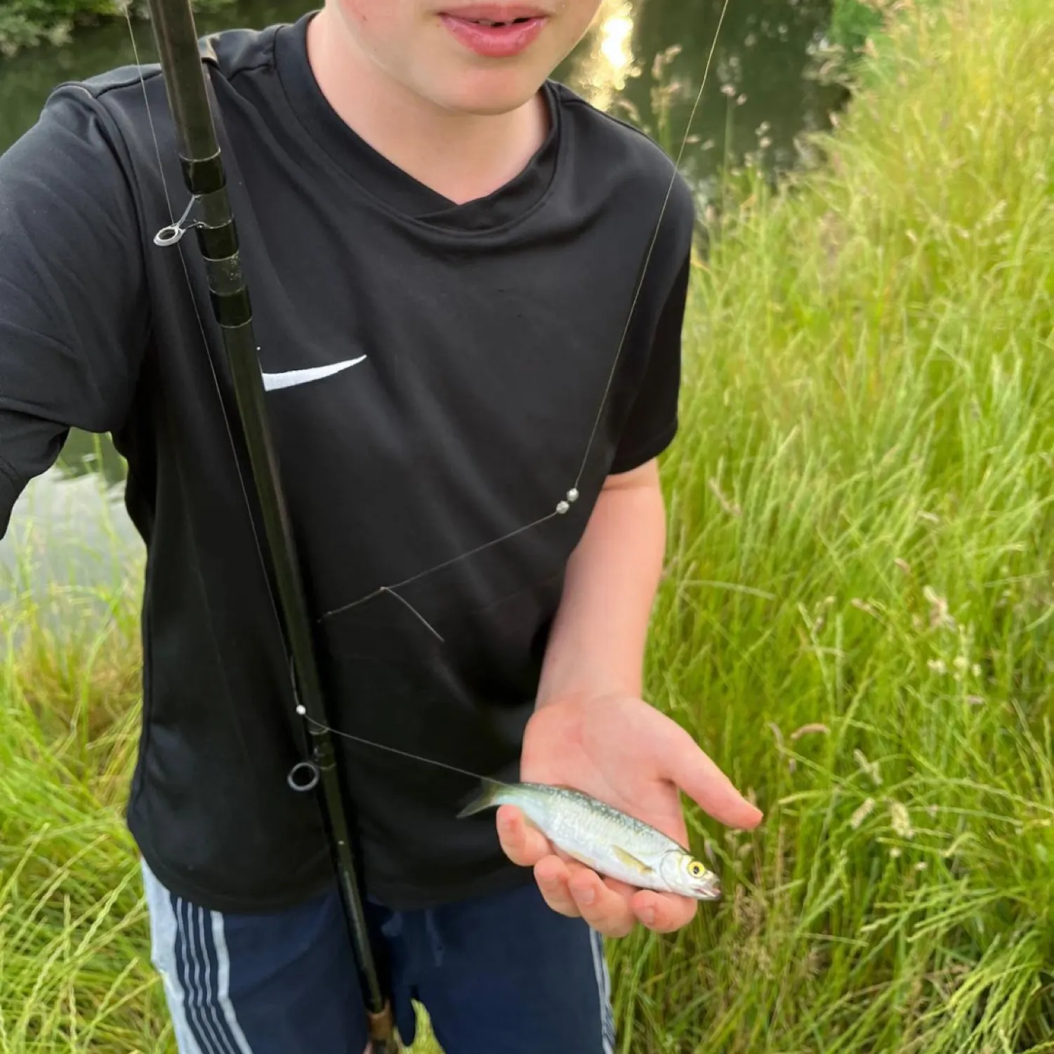 most liked catch image