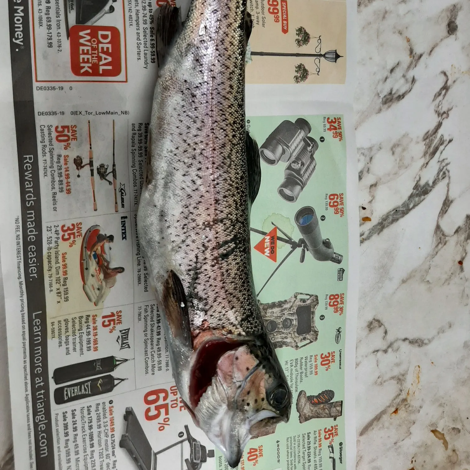 recently logged catches