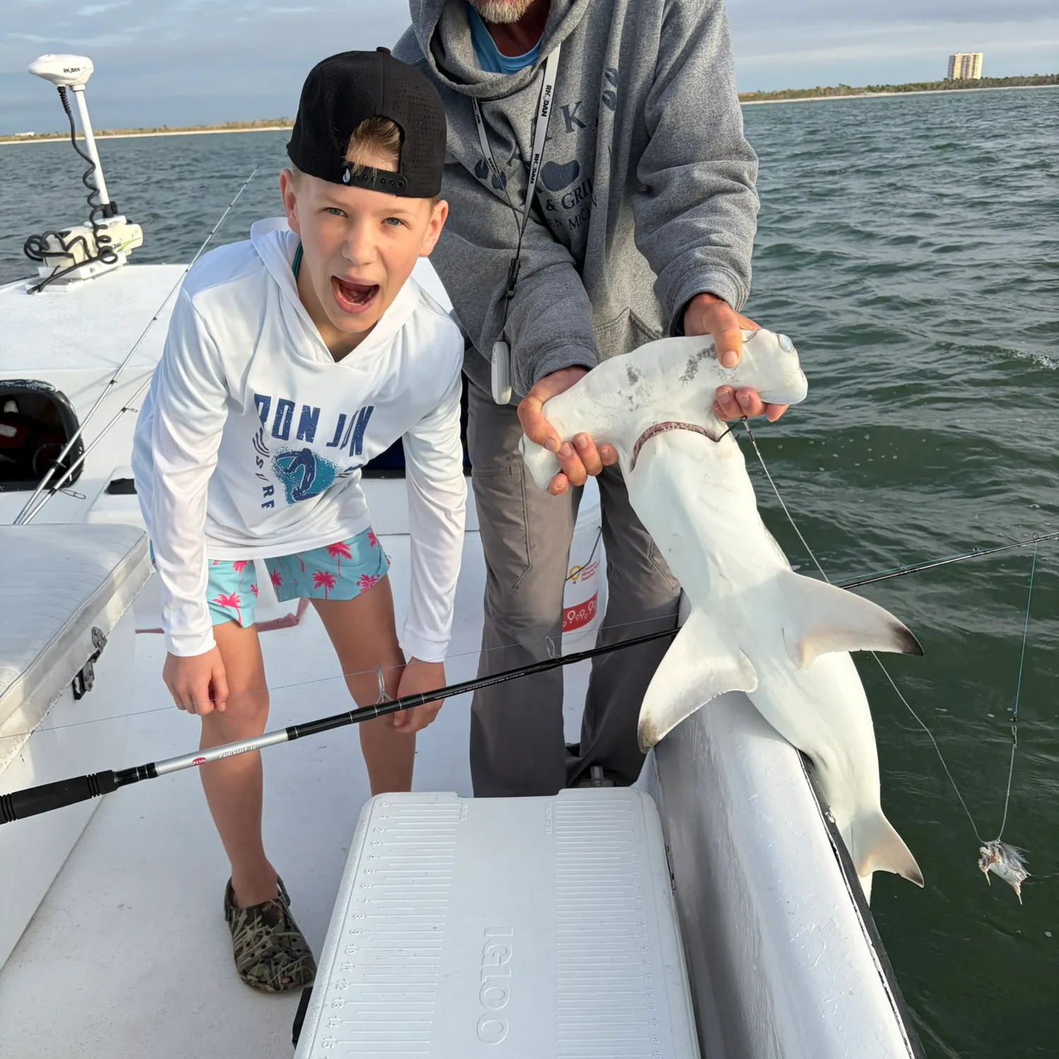 The most recent Scalloped hammerhead shark catches on Fishbrain