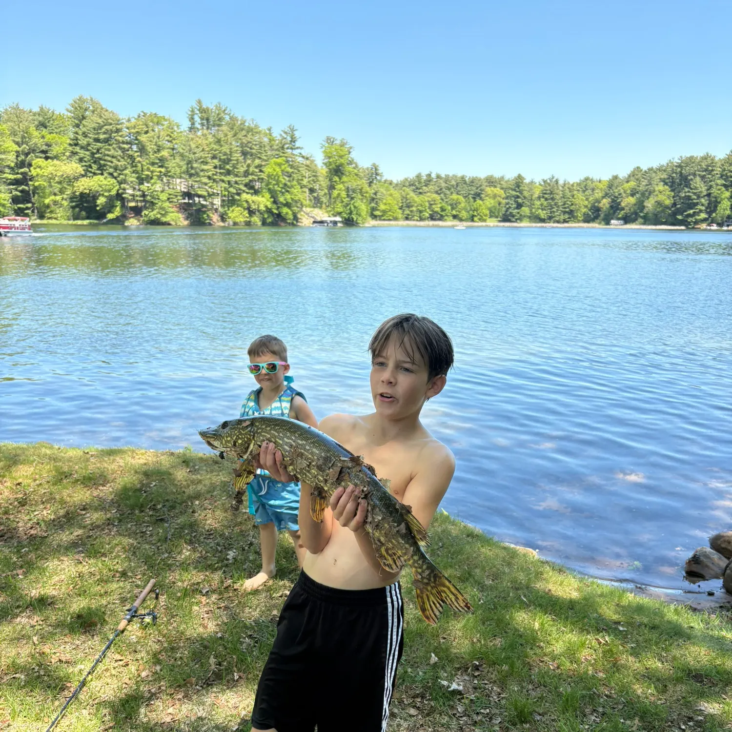 Northern pike caught on Fishbrain