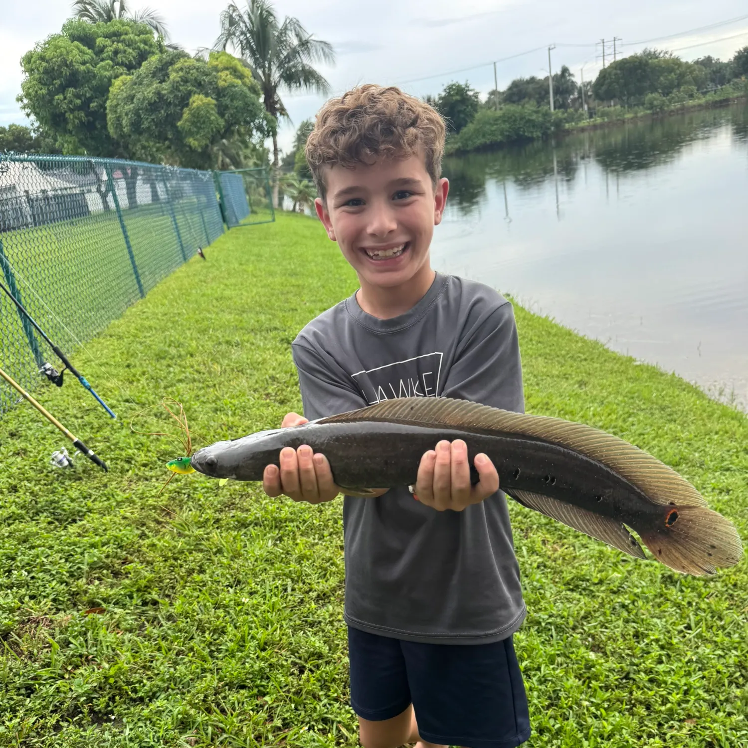 Bullseye snakehead caught on Fishbrain