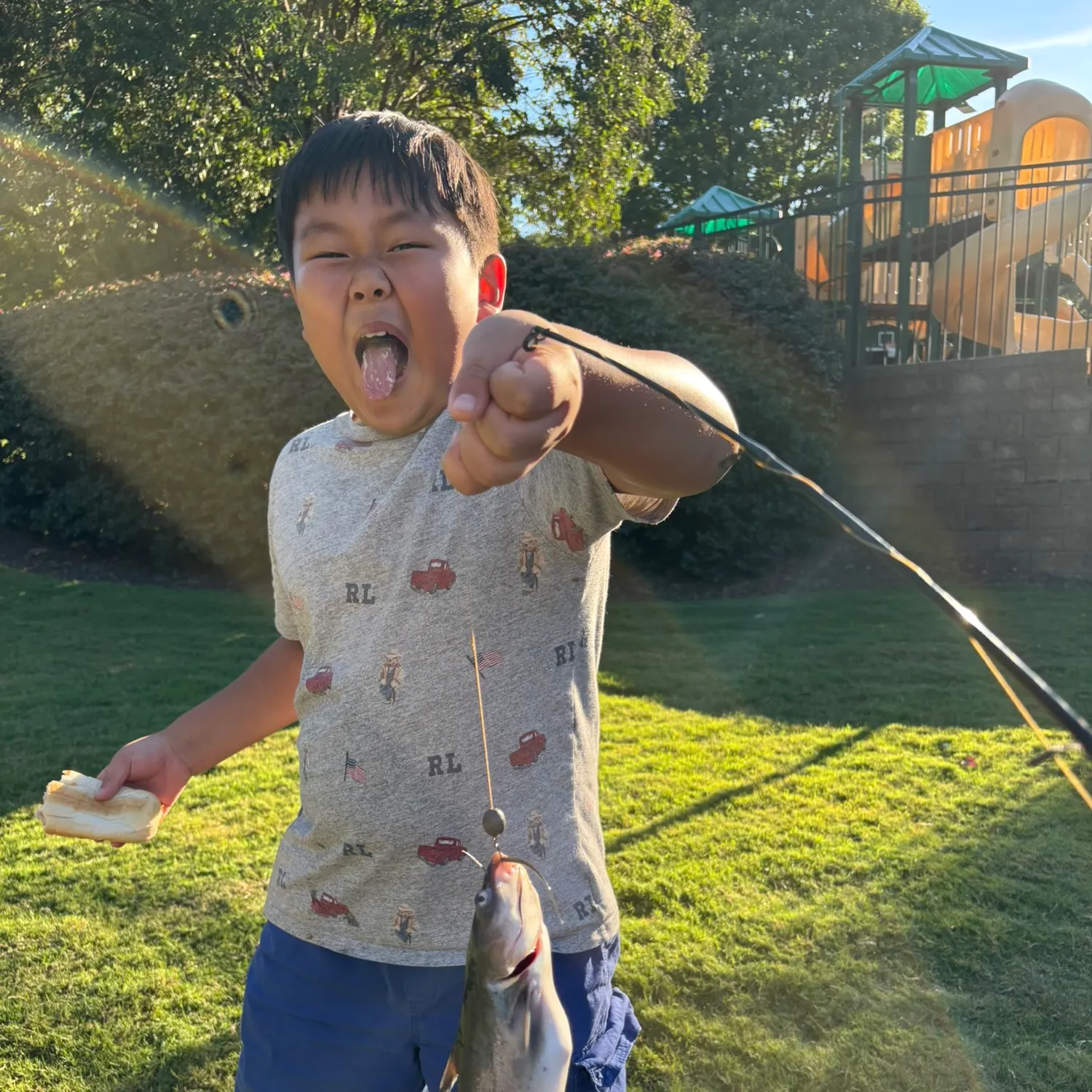 Channel catfish caught on Fishbrain