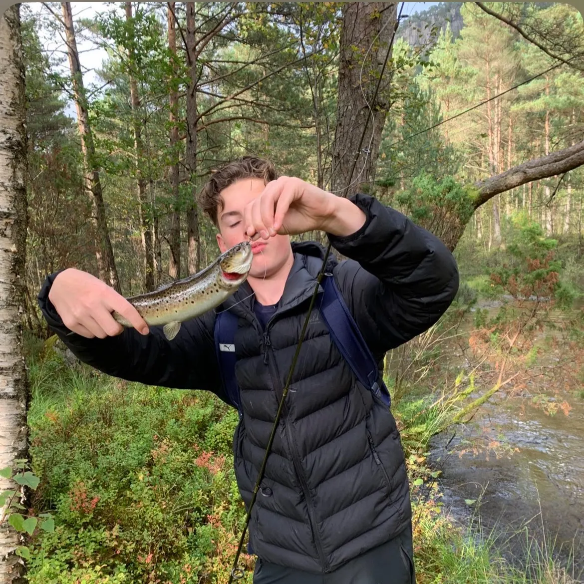 Lake trout caught on Fishbrain