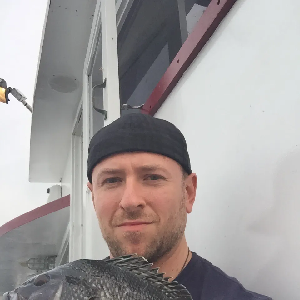 The most recent Black sea bass catches on Fishbrain