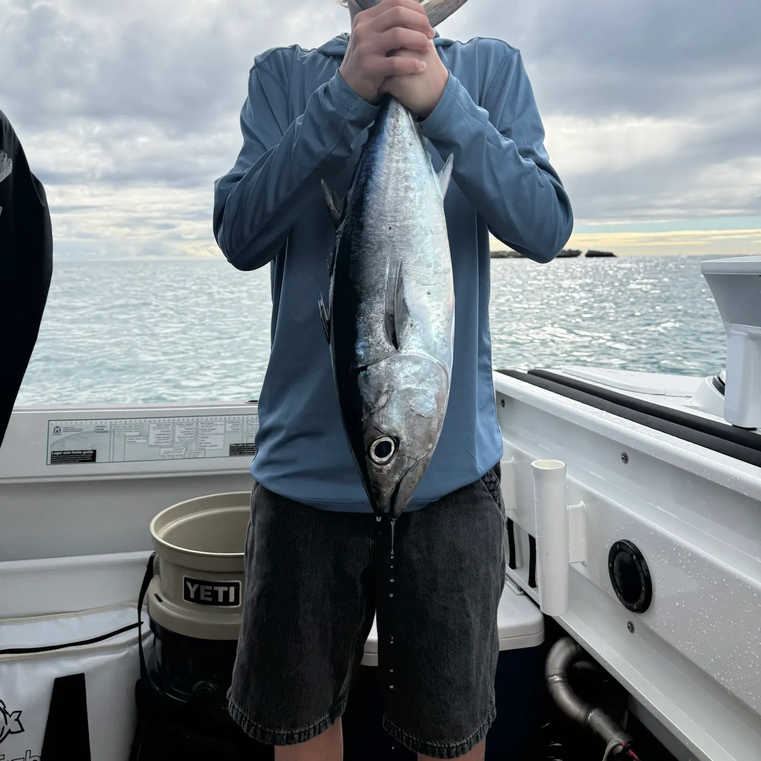 The most recent Southern bluefin tuna catches on Fishbrain